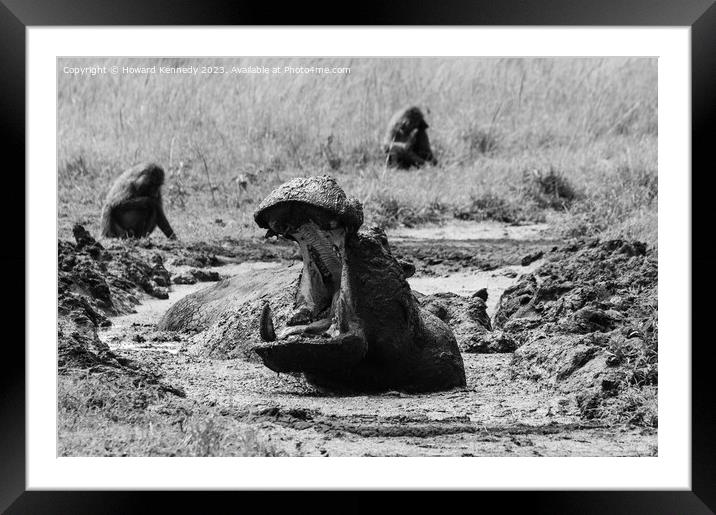 Hippo yawning in black and white Framed Mounted Print by Howard Kennedy