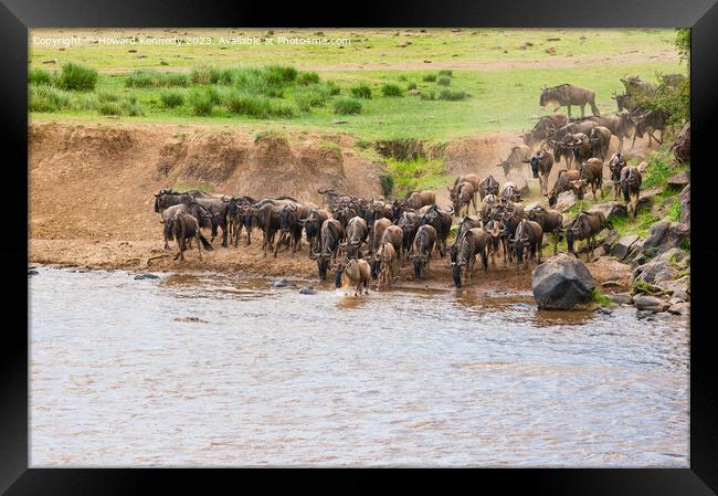 Wildebeest crossing the Mara River Framed Print by Howard Kennedy
