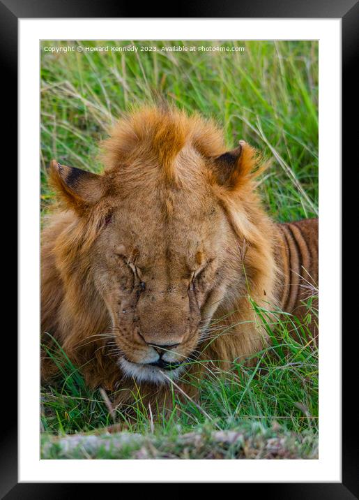 Let Sleeping Lions Lie Framed Mounted Print by Howard Kennedy