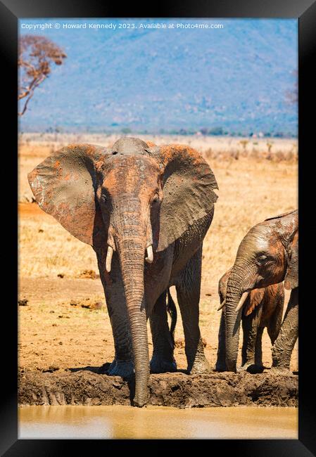 Elephant family at the waterhole Framed Print by Howard Kennedy