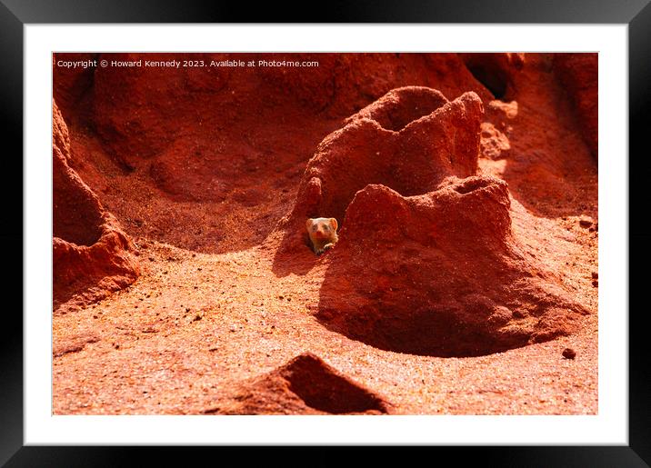 Dwarf Mongoose peaking out of termite mound Framed Mounted Print by Howard Kennedy