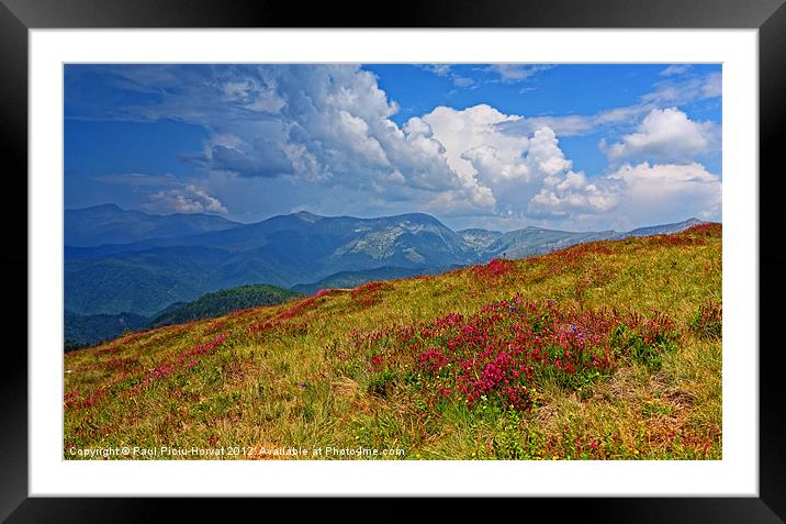 Summer in the mountains Framed Mounted Print by Paul Piciu-Horvat