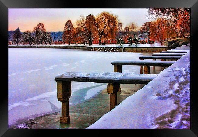 By The Frozen Lake Framed Print by Paul Piciu-Horvat