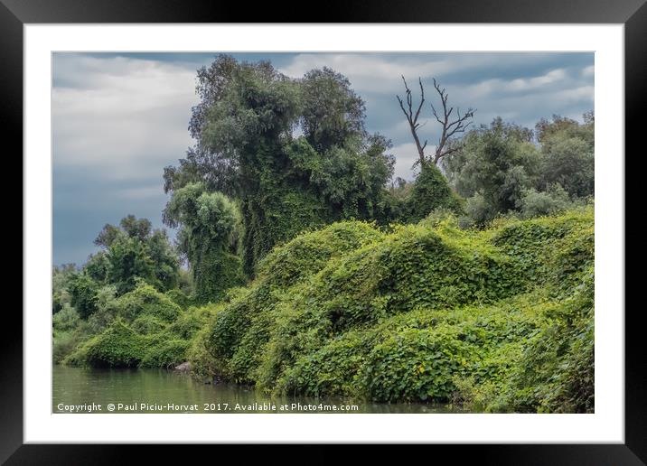 Danube Delta - Green Paradise Framed Mounted Print by Paul Piciu-Horvat
