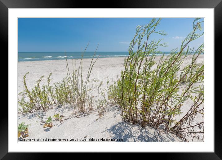 Vadu Wild Beach Framed Mounted Print by Paul Piciu-Horvat