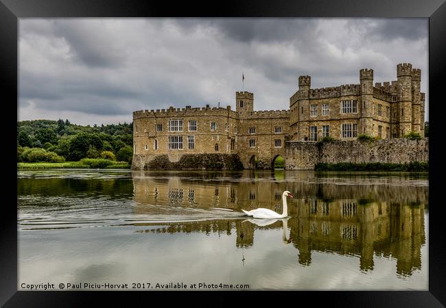 The Swan at Leeds Castle Framed Print by Paul Piciu-Horvat
