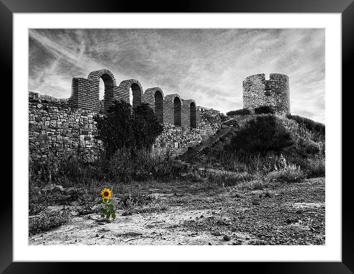 Life in the ruins Framed Mounted Print by Paul Piciu-Horvat