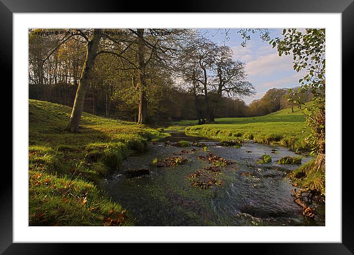  Goit Stock Beck Framed Mounted Print by Richard Auty