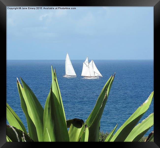  Sailing in Barbados Round the Island Race Framed Print by Jane Emery
