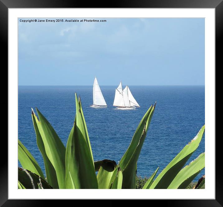  Sailing in Barbados Round the Island Race Framed Mounted Print by Jane Emery