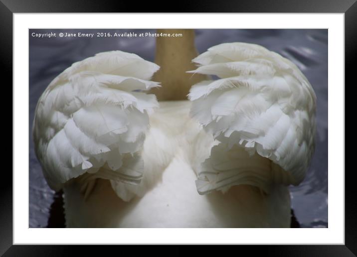 Wings of a Swan Framed Mounted Print by Jane Emery