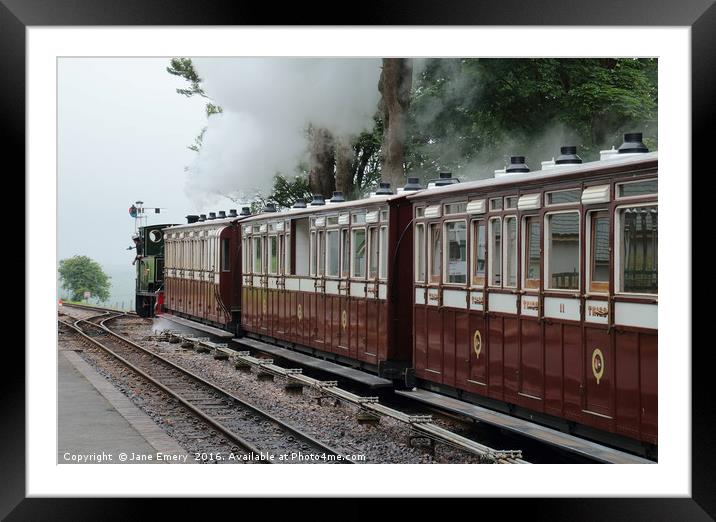 The Woody Bay Train Line Framed Mounted Print by Jane Emery