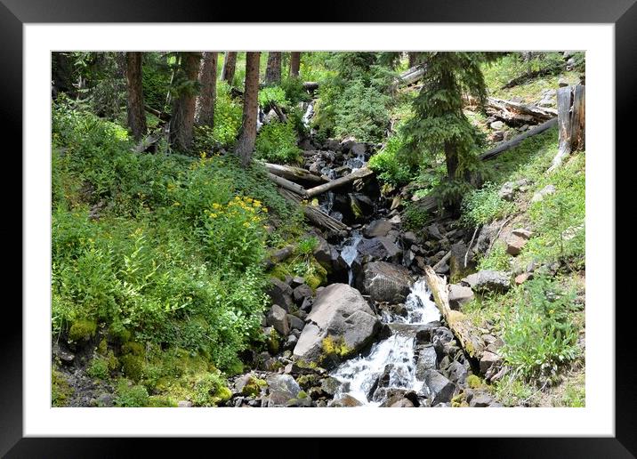 Colorado Hidden Waterfall Framed Mounted Print by JUDY LACEFIELD