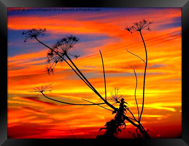  Sunset #2 Framed Print by Lance Hollingworth