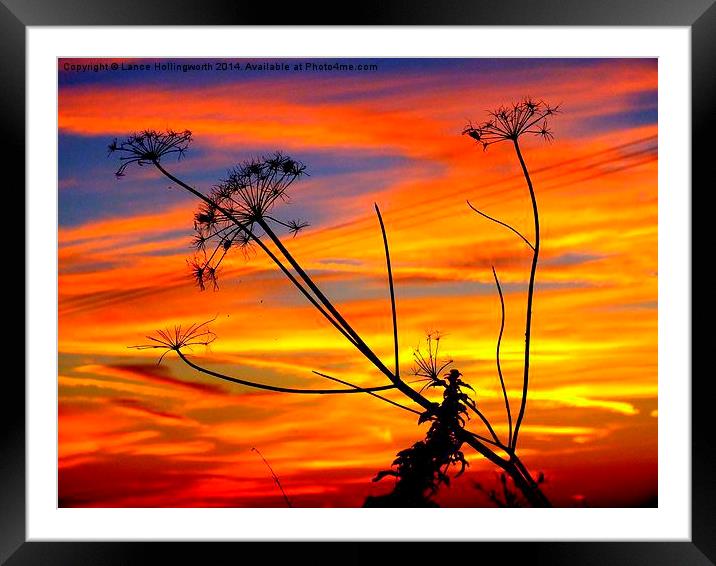  Sunset #2 Framed Mounted Print by Lance Hollingworth