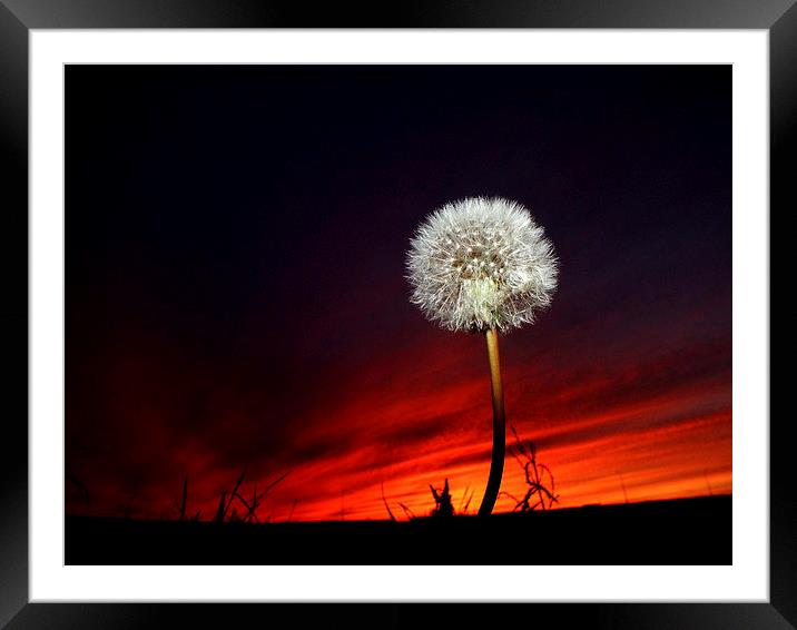  Sunset #11 Framed Mounted Print by Lance Hollingworth