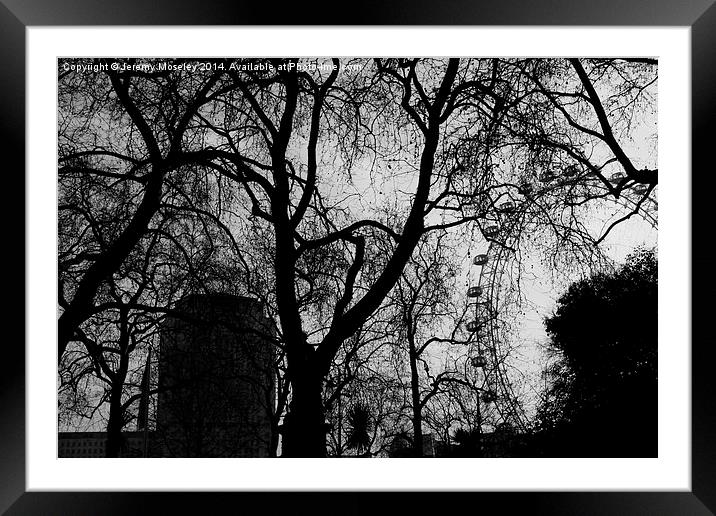 London Eye seen through branches Framed Mounted Print by Jeremy Moseley
