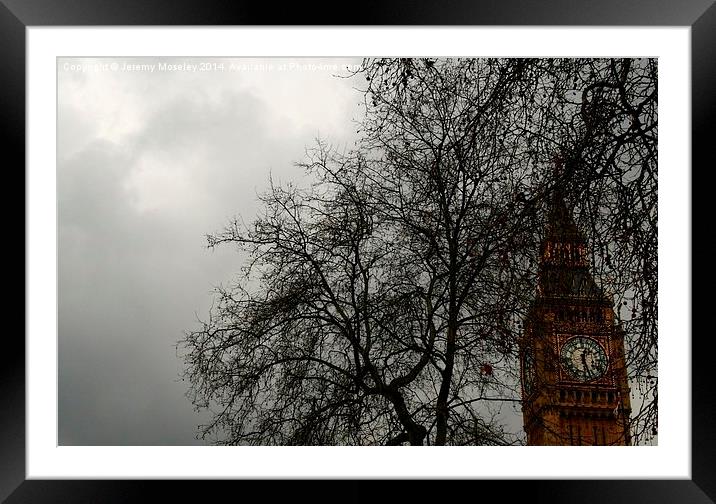 Big Ben as seen through the branches of a tree Framed Mounted Print by Jeremy Moseley