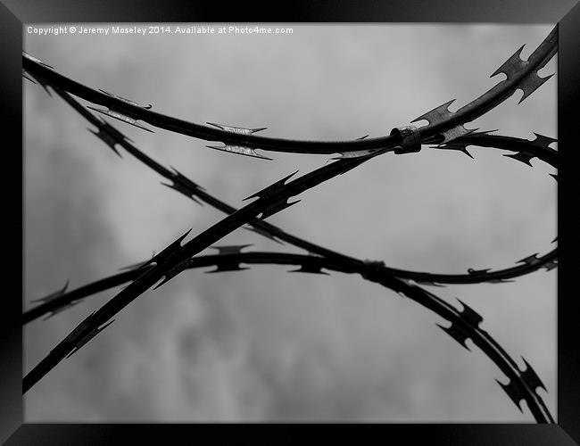 Barbed Wire Framed Print by Jeremy Moseley