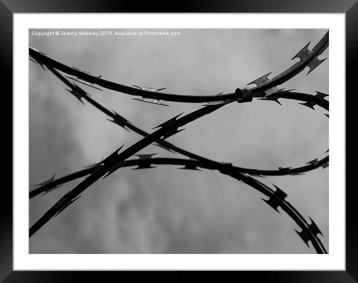 Barbed Wire Framed Mounted Print by Jeremy Moseley