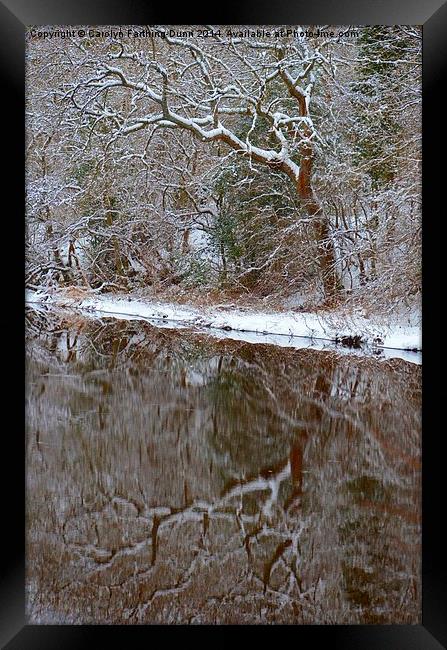  Reflections of Winter Framed Print by Carolyn Farthing-Dunn