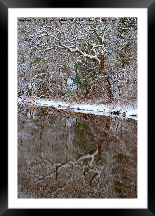  Reflections of Winter Framed Mounted Print by Carolyn Farthing-Dunn