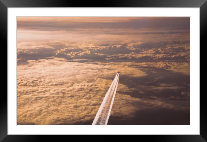 Flying High Framed Mounted Print by Louise Wilden