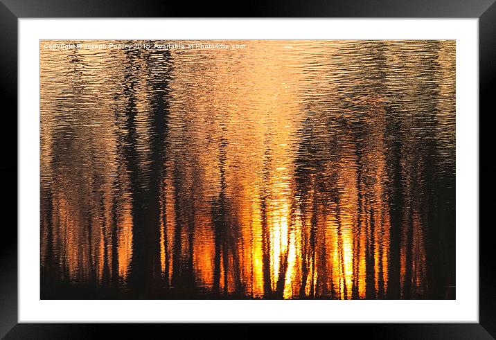  The forest of reflection Framed Mounted Print by Joseph Pooley