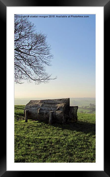 Bench under tree Framed Mounted Print by alastair morgan