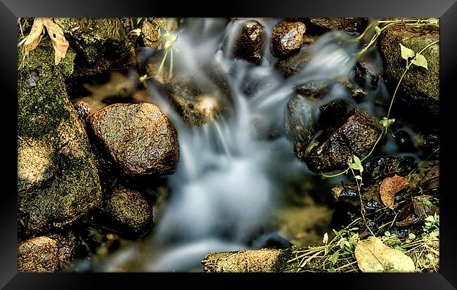  The Beauty of Water Framed Print by Dave Rowlands