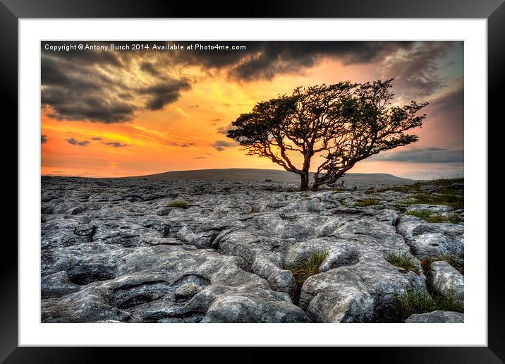  Limestone Gaurdian Framed Mounted Print by Antony Burch