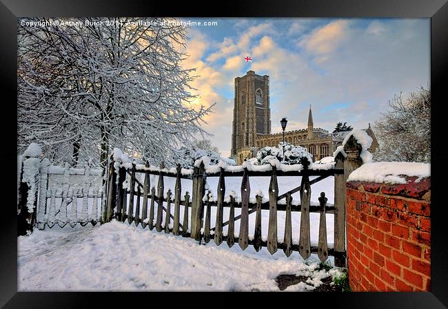  St Peter and St Pauls Lavenham Framed Print by Antony Burch