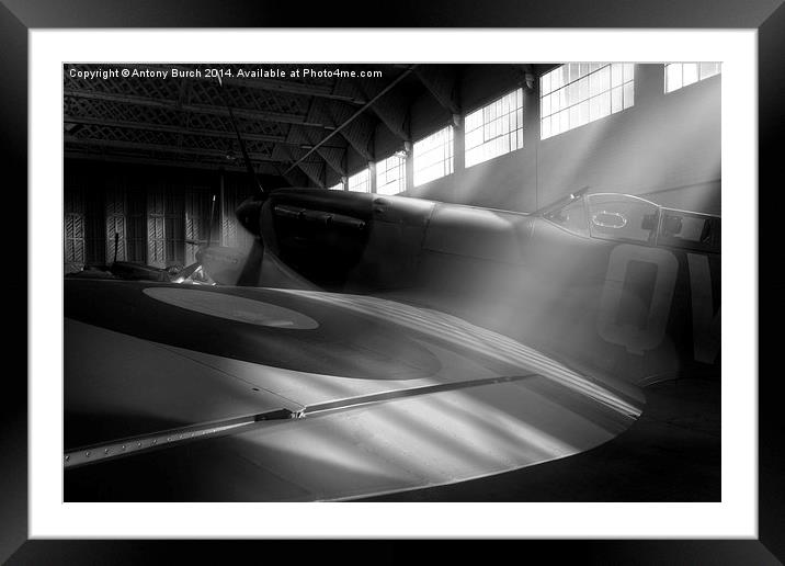 In the presence of spitfires (mono) Framed Mounted Print by Antony Burch