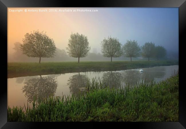 River Stour misty Dawn Framed Print by Antony Burch