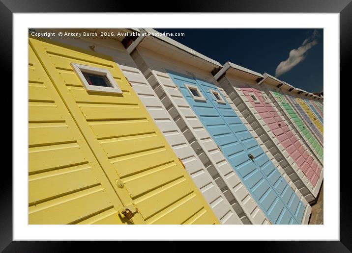 Lyme regis Beach Huts Framed Mounted Print by Antony Burch