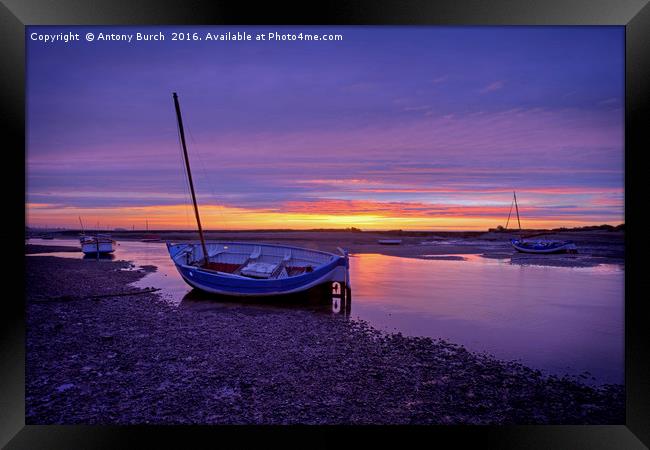 Burnham Overy Staithe Afterglow Framed Print by Antony Burch