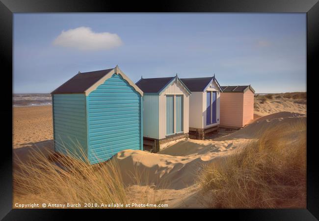 Southwold Gun Hill Beach Huts Framed Print by Antony Burch