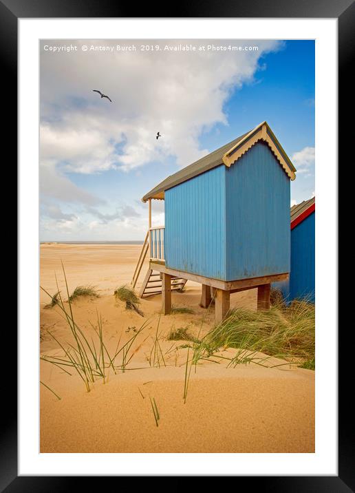 Beach Huts and Birds Framed Mounted Print by Antony Burch