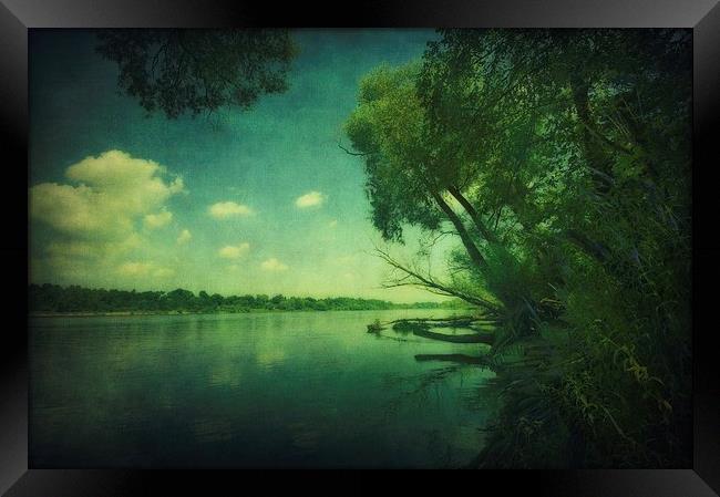 Narew River Framed Print by Piotr Tyminski