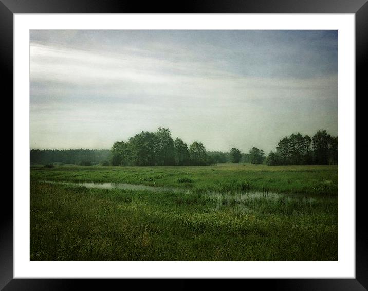 Krubin Meadows near Narew River, Poland Framed Mounted Print by Piotr Tyminski