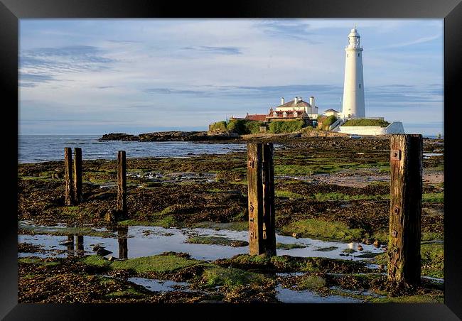  St Mary's Lighthouse Whitley Bay Framed Print by Mike Twist