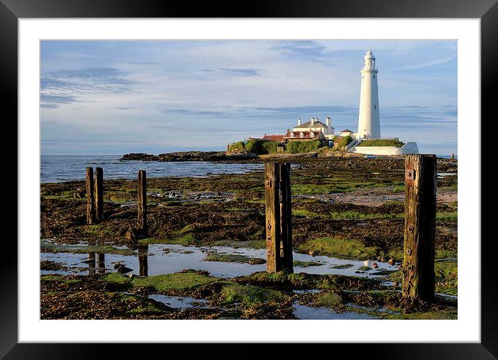  St Mary's Lighthouse Whitley Bay Framed Mounted Print by Mike Twist
