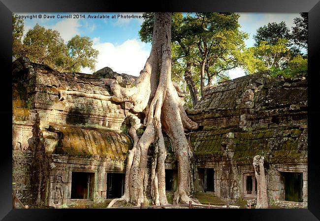 Ta Prohm Cambodia Framed Print by Dave Carroll