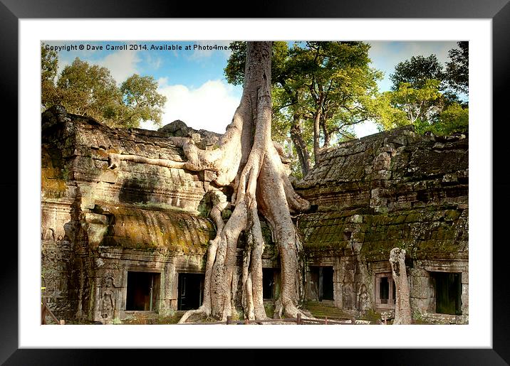 Ta Prohm Cambodia Framed Mounted Print by Dave Carroll