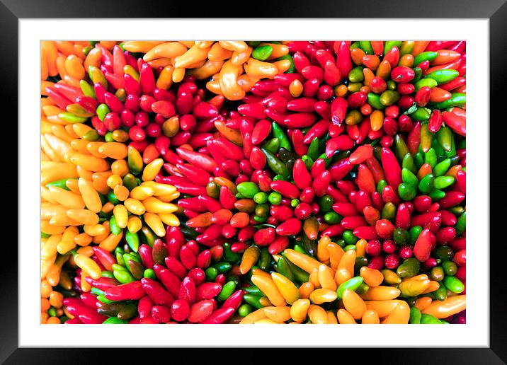 Bunch of chilli peppers Framed Mounted Print by Dave Carroll