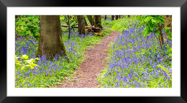 Path to summer... Framed Mounted Print by Dave Carroll