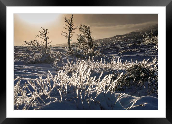 Frosty Morning Framed Mounted Print by Mark Fraser