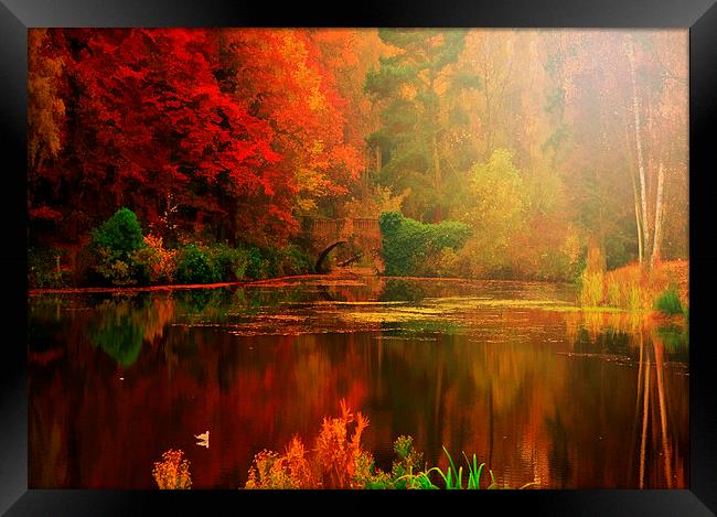  Autumn Reflected Framed Print by Heaven's Gift xxx68