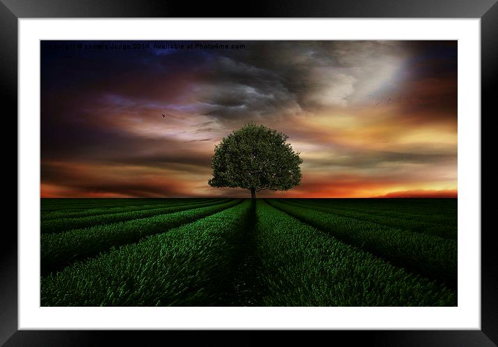  The Green tree Framed Mounted Print by Heaven's Gift xxx68