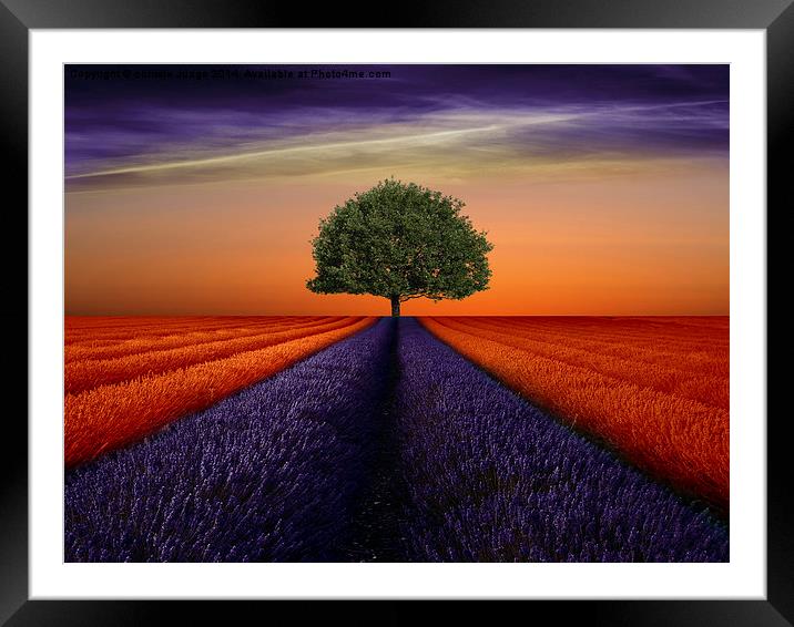  The field  Framed Mounted Print by Heaven's Gift xxx68